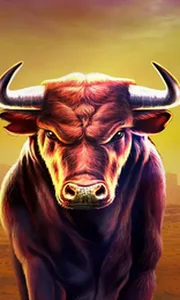 Black Bull